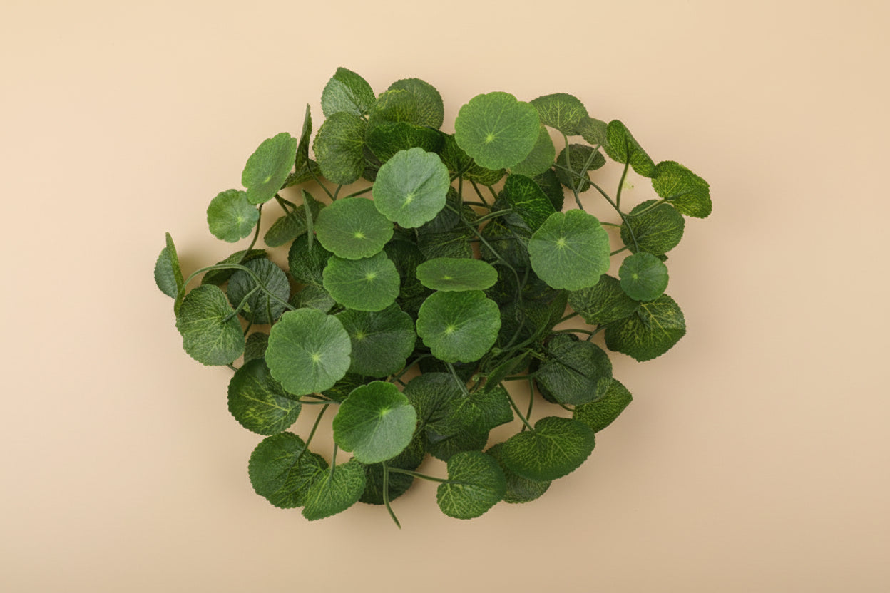 Starter Enclosure Set