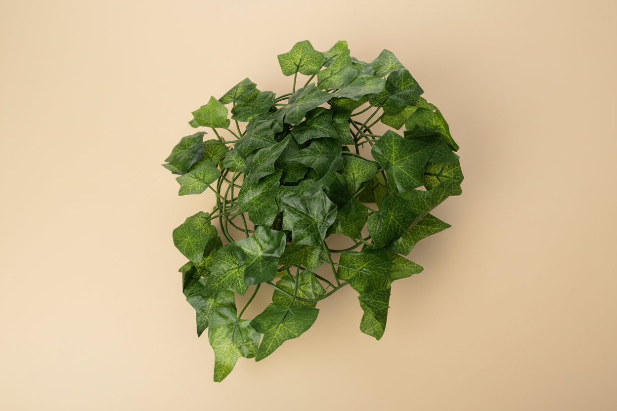 Starter Enclosure Set